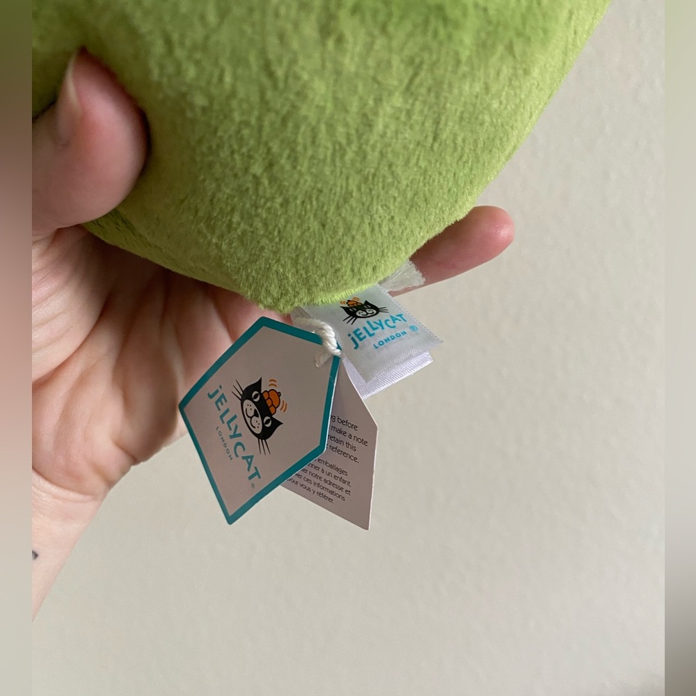 Jellycat Ricky Rain Frog - Picture 5 of 6